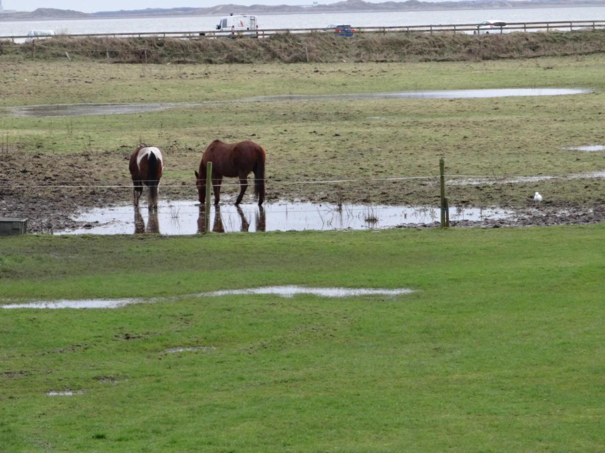 Sea View Cottage Lake District Coast Haverigg Millom Exteriör bild
