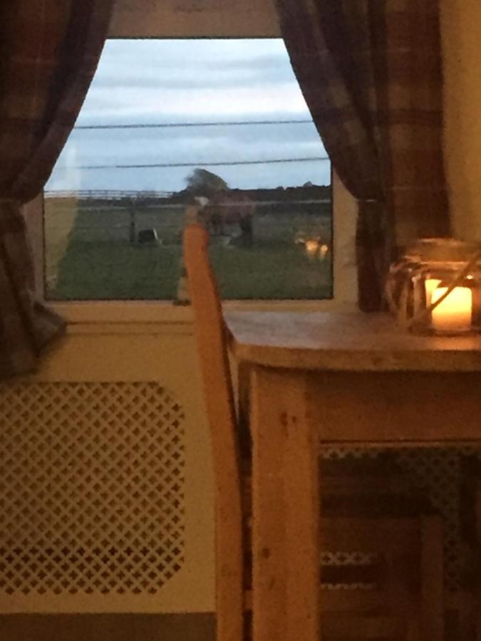 Sea View Cottage Lake District Coast Haverigg Millom Exteriör bild